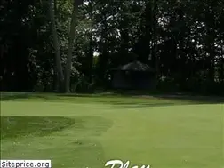 Sites similar to royalscotgolf.com