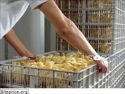 Sites similar to royansanat.com