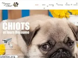 Sites similar to royaumeduchiot.com