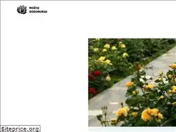 Sites similar to roziusodinukai.lt