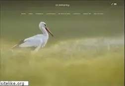 Sites similar to rpl.ro
