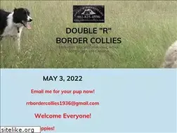 Sites similar to rrbordercollies.com