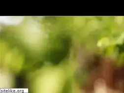 Sites similar to rrr-wineonline.com