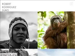 Sites similar to rrsuro.com