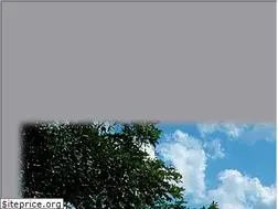 Sites similar to rsfotografia.com