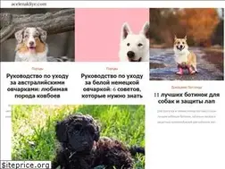 Sites similar to ru.acelenakliye.com