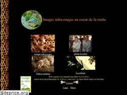 Sites similar to ruche.com