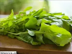 Sites similar to ruco.la