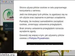 Sites similar to rudniki.pl