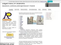 Sites similar to rudzionekserwis.pl