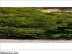 Sites similar to ruegenfisch.de