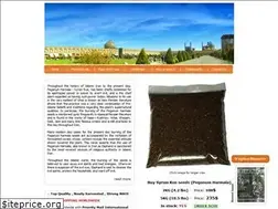 Sites similar to rueshop.com