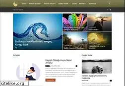 Sites similar to ruhsalyasam.com