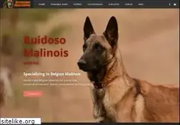 Sites similar to ruidosomalinois.com