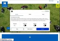 Sites similar to rumi.fr