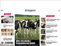 Sites similar to rumico.com.tr
