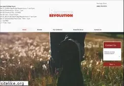 Sites similar to runningrevolution.com