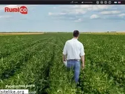 Sites similar to ruralco.com.ar