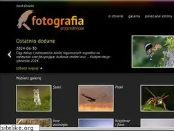 Sites similar to rurzyca.pl