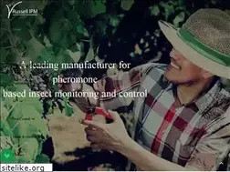 Sites similar to russellipm.com