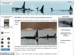Sites similar to russianorca.com