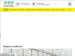 Sites similar to rusteplica.ru