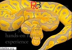 Sites similar to rustys-balls.com