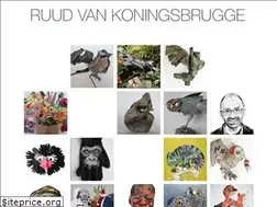 Sites similar to ruudvankoningsbrugge.nl