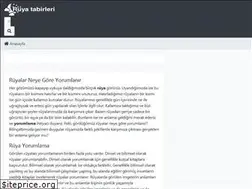 Sites similar to ruyadagormek.net