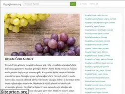 Sites similar to ruyagormek.org
