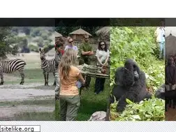 Sites similar to rwandaecotours.com