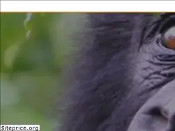 Sites similar to rwandaugandagorillasafaris.com