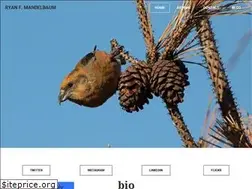 Sites similar to ryanfmandelbaum.com