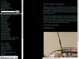 Sites similar to rydzi.cz
