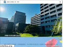 Sites similar to ryukyu-surg1.org