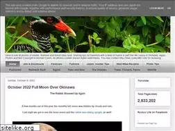 Sites similar to ryukyulife.com
