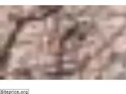 Sites similar to s1trail.com
