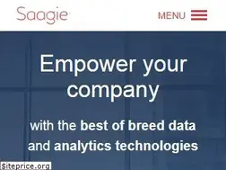 Sites similar to saagie.com