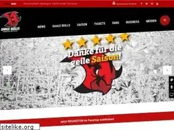Sites similar to saalebulls.com