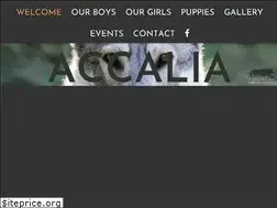 Sites similar to saarloos-wolfdog.com