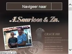 Sites similar to saarloospigeons.nl