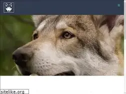 Sites similar to saarlooswolfhonden.nl