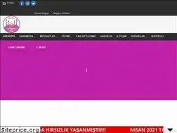 Sites similar to saatcilerodasi.com