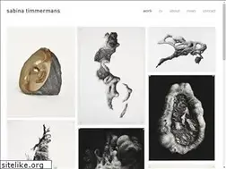 Sites similar to sabinatimmermans.nl