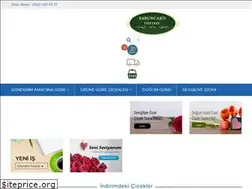 Sites similar to sabuncakisgoztepe.com