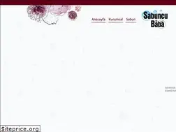 Sites similar to sabuncubaba.com.tr