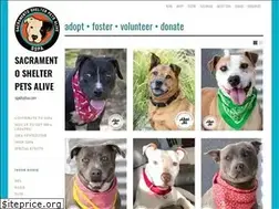 Sites similar to saccountydogs.com