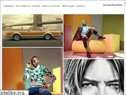 Sites similar to sachawaldman.com