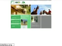 Sites similar to sachsen-mit-pferd.de