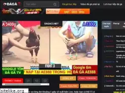 Sites similar to sacmocthien.net